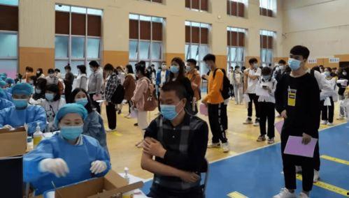 任县最新事件爆料信息,最新爆料揭示惊人真相  第3张